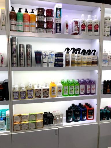 عکس فروشگاه زیپلین