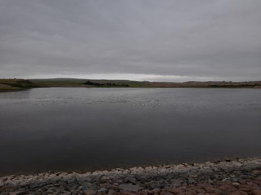 عکس دریاچه شورگلی