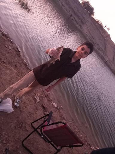 عکس دریاچه شورگلی