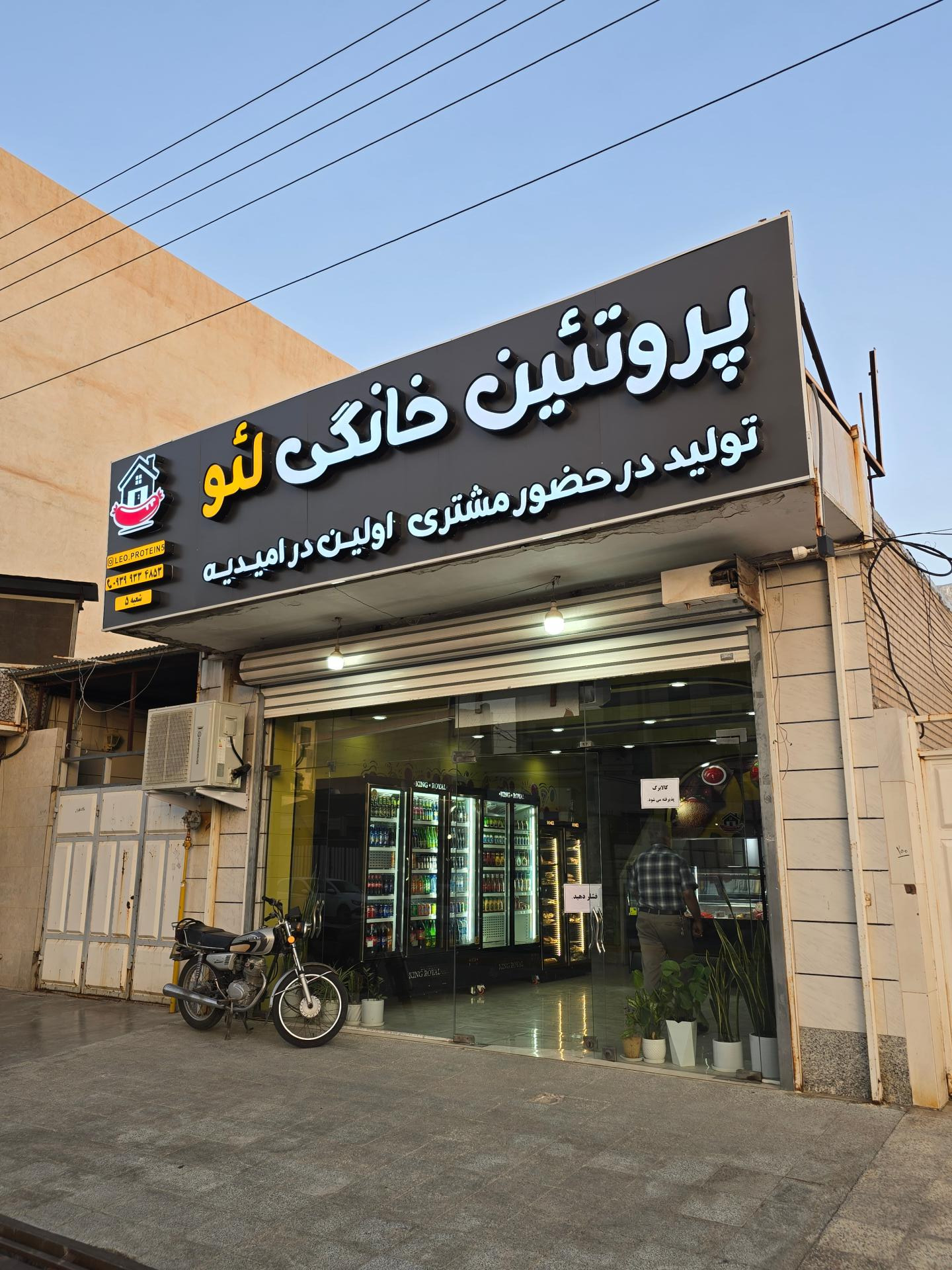 عکس پروتئین خانگی لئو
