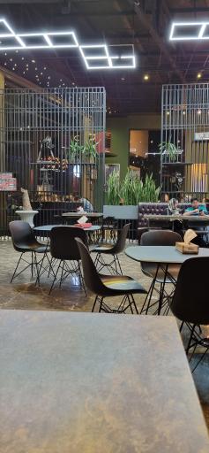 عکس پیتزا تاتلی