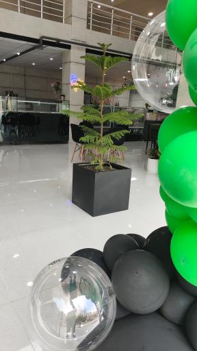 عکس مجموعه بزرگ فرانه