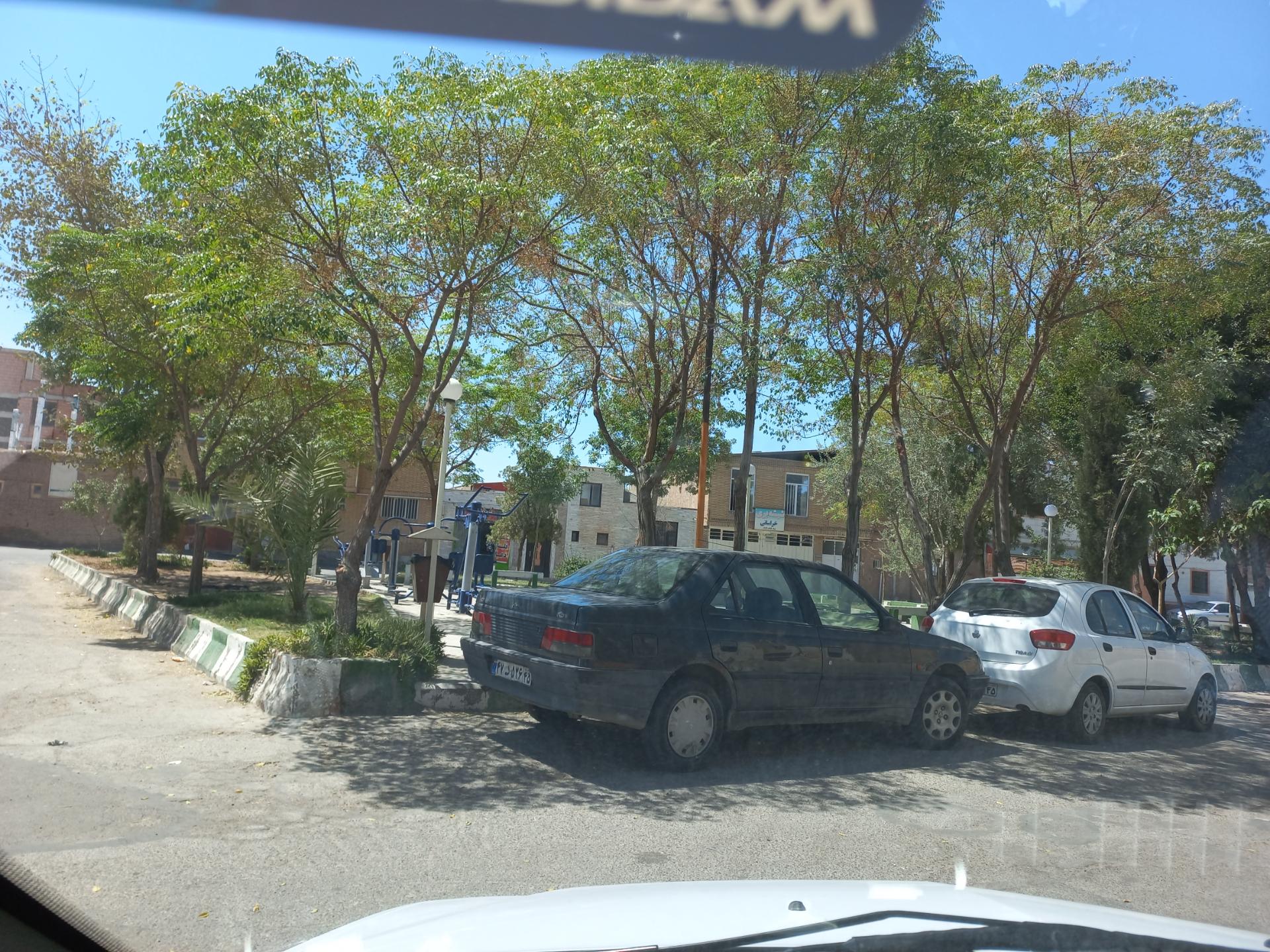 عکس فضای سبز 