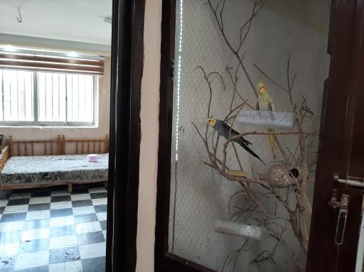 عکس رستوران ستاره طوس 