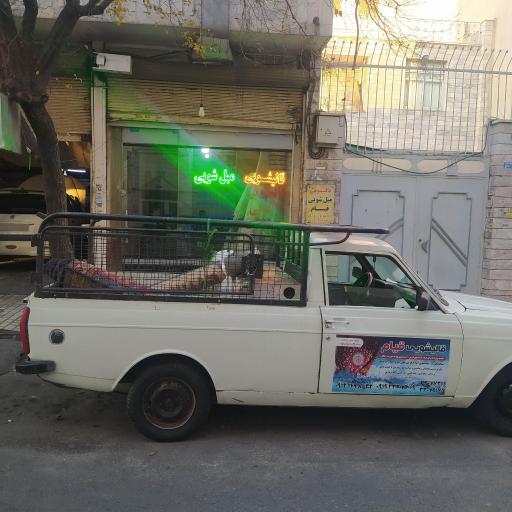 عکس قالیشویی و مبل شویی علی اسماعیلی