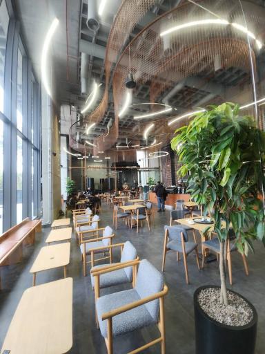 کافه ساعدی نیا