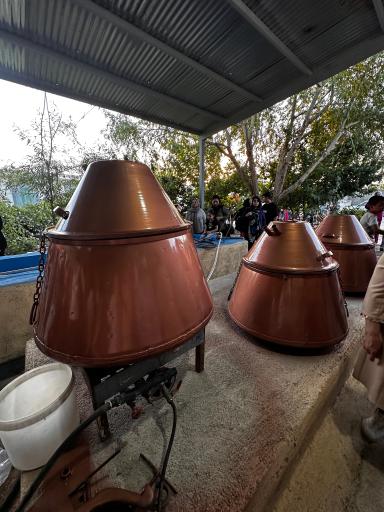 عکس کارگاه گلاب گیری برادران نظری 