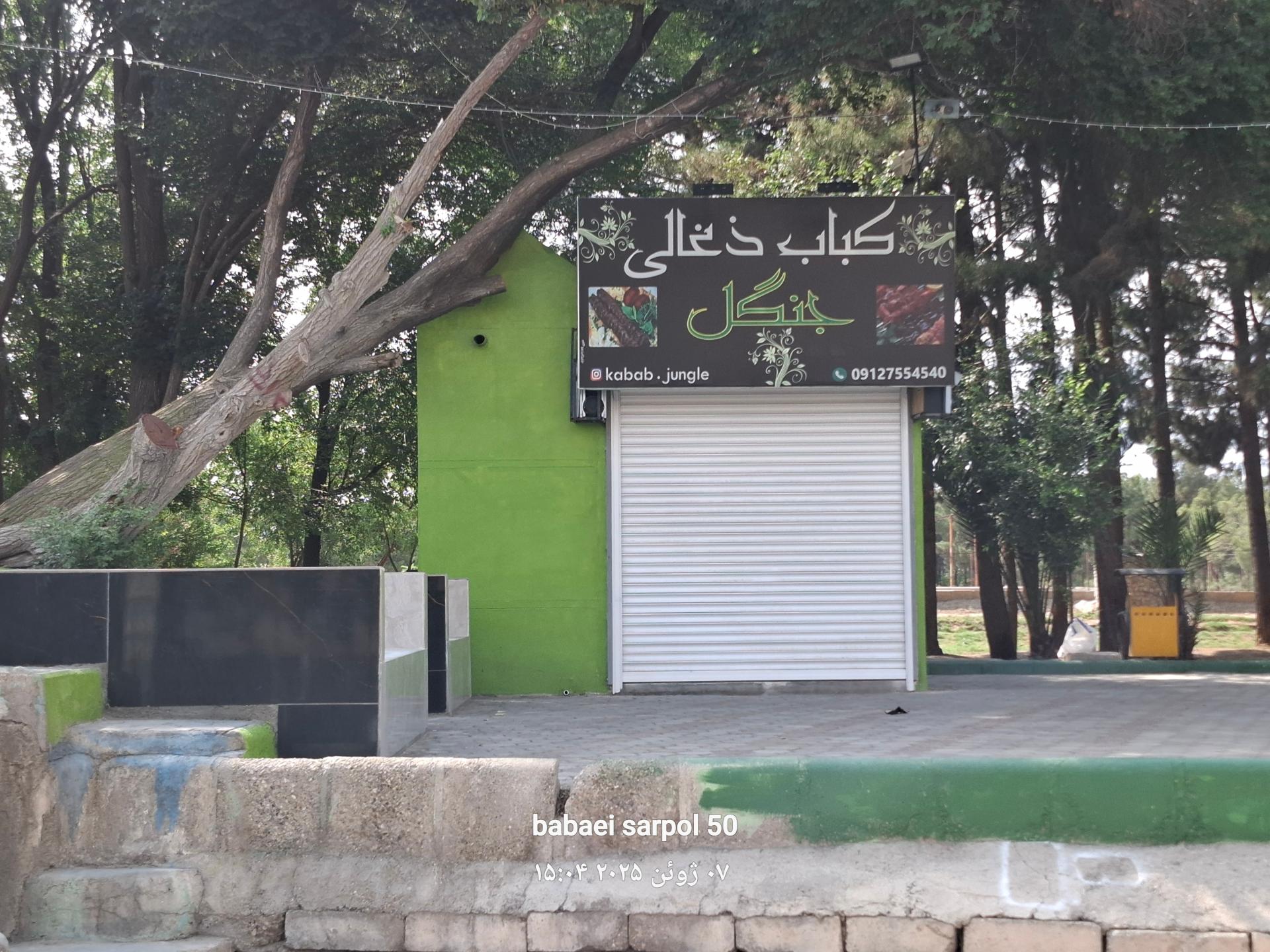 عکس کباب  ذغالی  جنگل