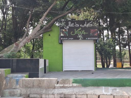 عکس کباب  ذغالی  جنگل