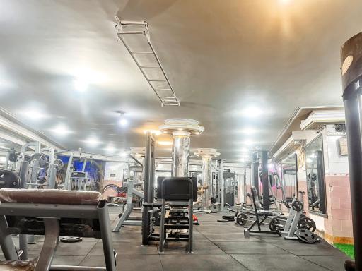 عکس باشگاه بدنسازی درخش