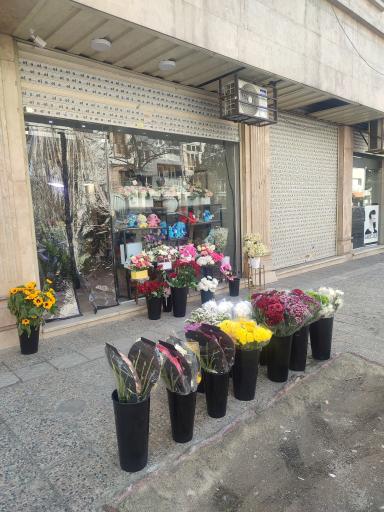 گل و گیاه ارغوان