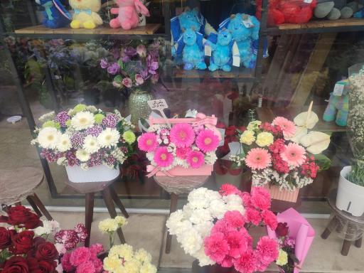 گل و گیاه ارغوان