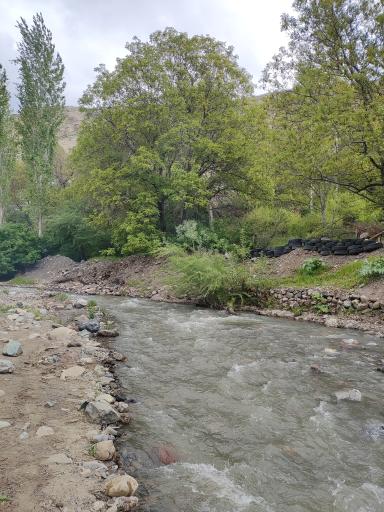 عکس ولیران