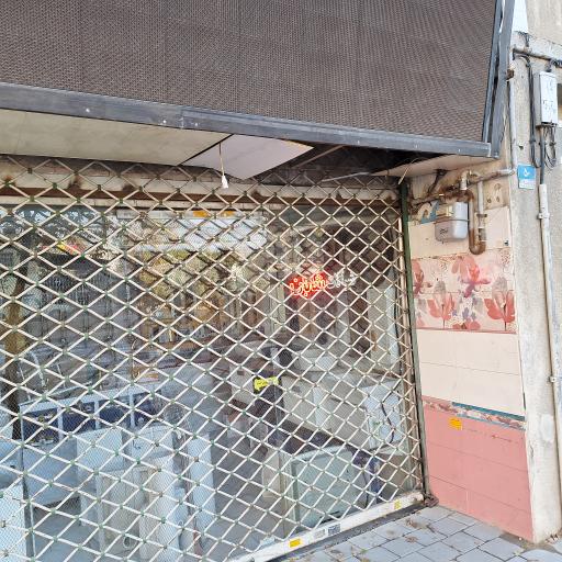 عکس شیر آلات شایان