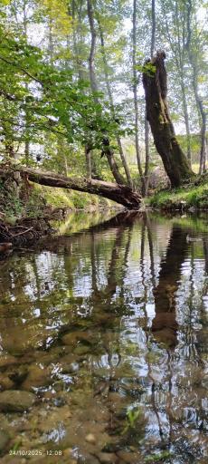 عکس مرزیکلا