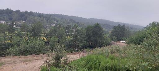 عکس مرزیکلا