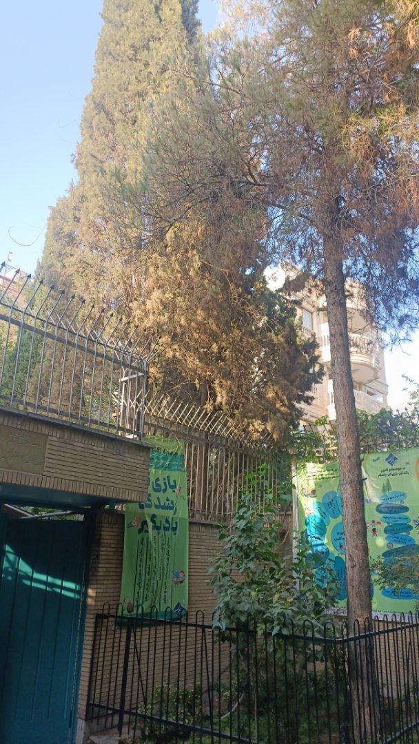 عکس آکادمی هنری مِنوگ