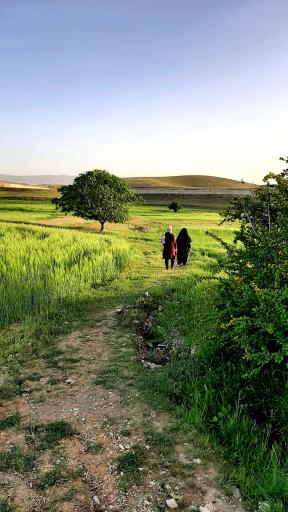 عکس ولیران