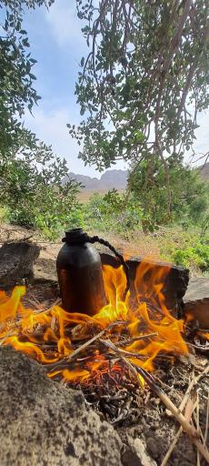 عکس دولت آباد