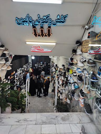 عکس کفش پاپیون