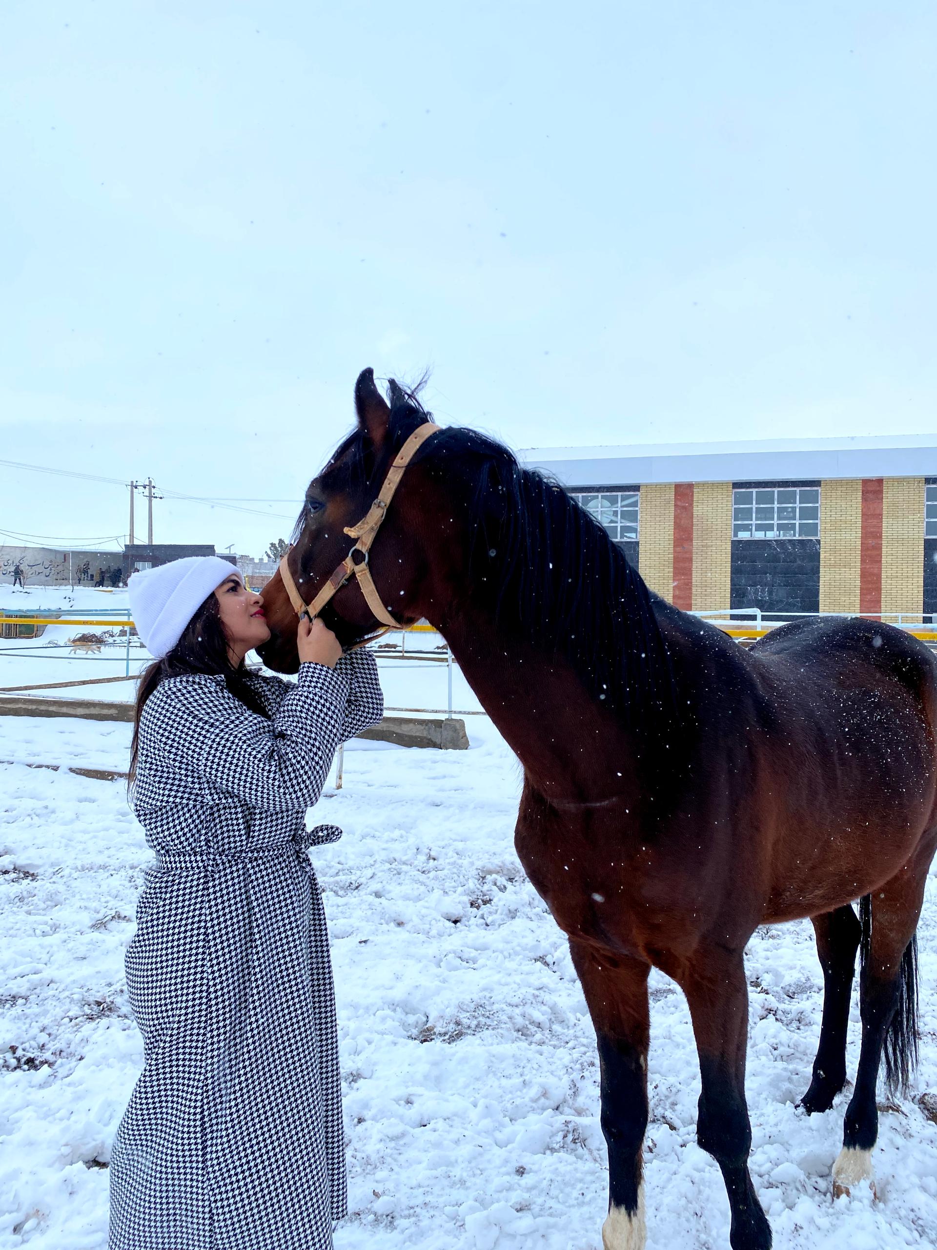 عکس باشگاه اسب سواری اشکان