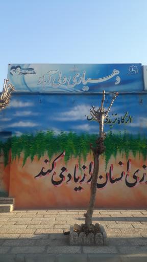 عکس دهیاری ولی آباد