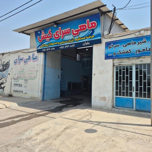 عکس سردخانه ماهی سرای کیش