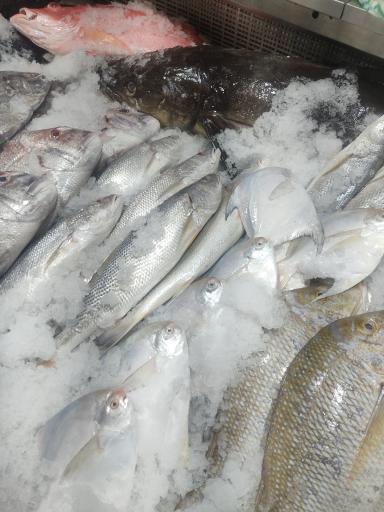 عکس محصولات دریایی لیان