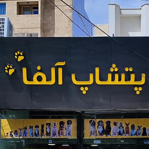عکس پتشاپ آلفا