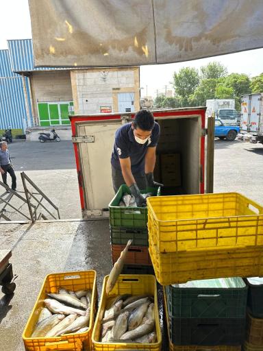 عکس فروشگاه قزل ماهی فردوس