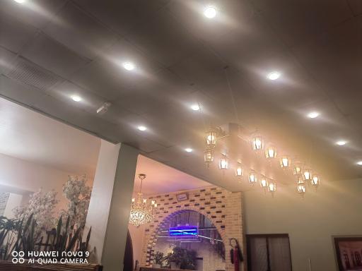 عکس کبابی اژدهای سنگی