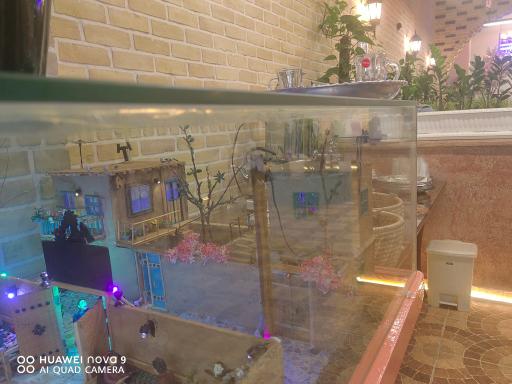 عکس کبابی اژدهای سنگی