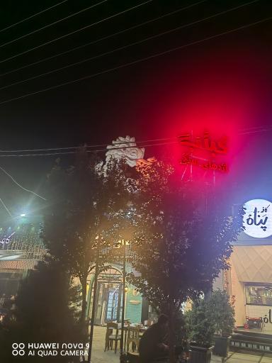 عکس کبابی اژدهای سنگی