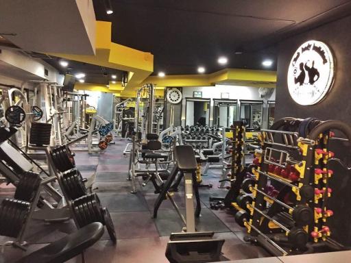 عکس باشگاه بدنسازی هدیش