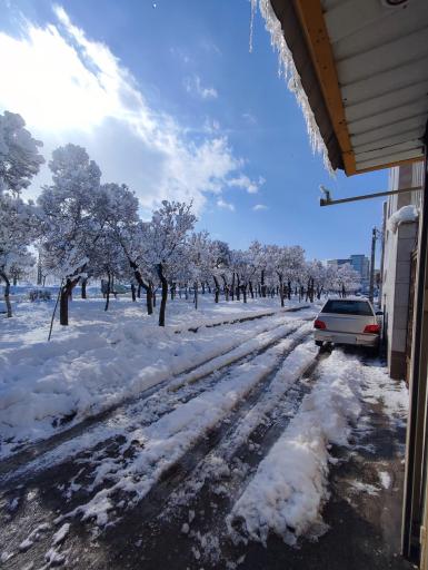 بوستان نغمه