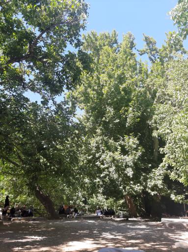 عکس باغ خان