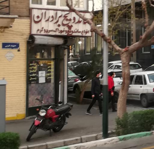 عکس ساندویچ برادران