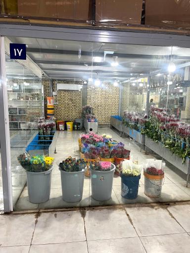 عکس پخش عمده گل اژدری_حسینی