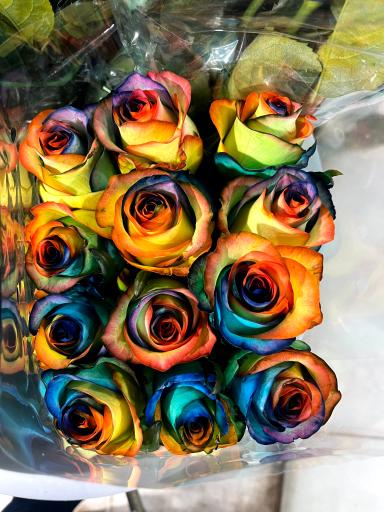 عکس پخش عمده گل اژدری_حسینی