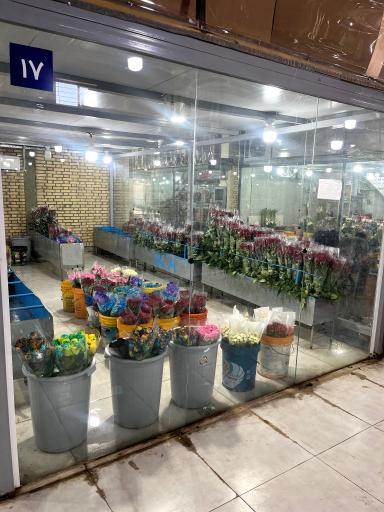 عکس پخش عمده گل اژدری_حسینی