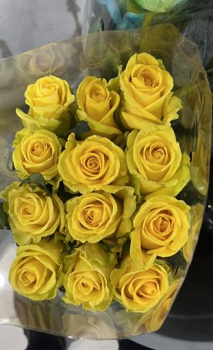 عکس پخش عمده گل اژدری_حسینی