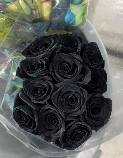 عکس پخش عمده گل اژدری_حسینی