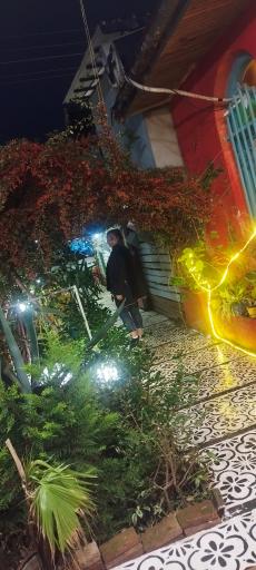 عکس کافه حیاط