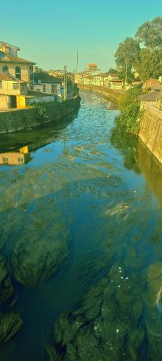 عکس پل خشتی لنگرود