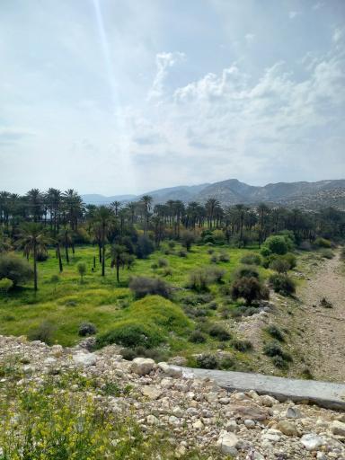 عکس جم