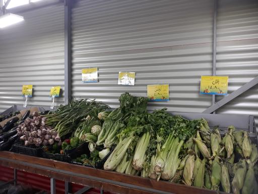 عکس بازارچه مردم