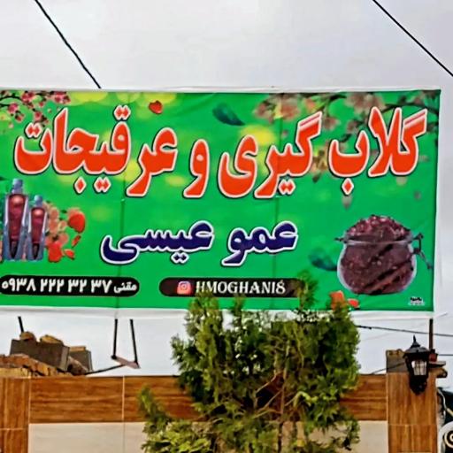 عکس گلاب گیری عمو عیسی 