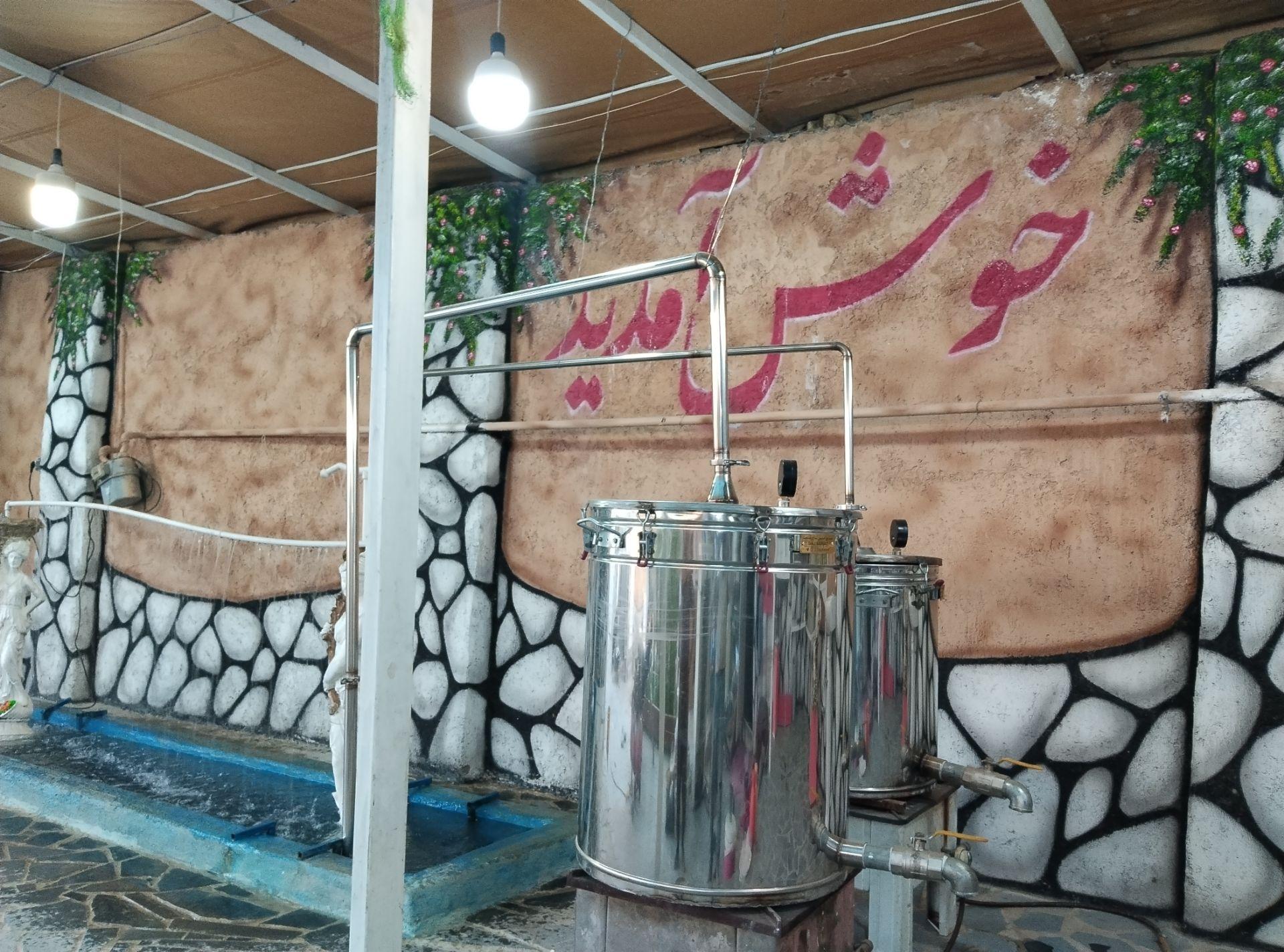 عکس گلاب گیری عمو عیسی 