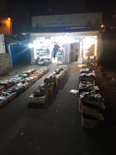 عکس دنیای کفش برزگر