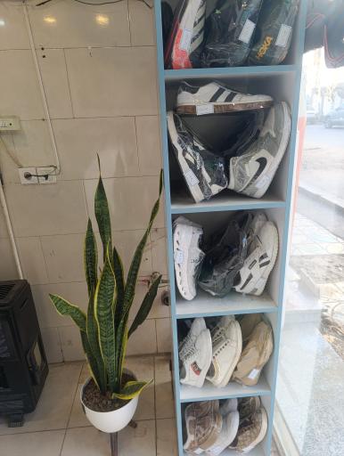 عکس خشکشویی پاکسان 